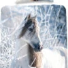 Bettwäsche Winterpferd, Flanell, 80 X 80 Cm + 135 X 200 Cm