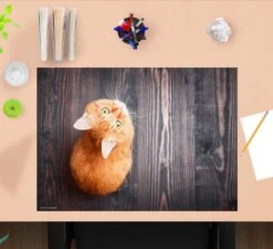 Schreibtischunterlage "Orange Katze" In Orange (L)60 X (B)40