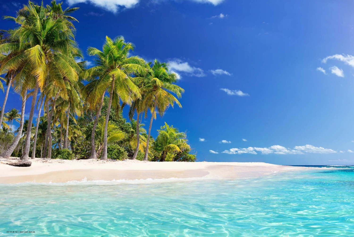 Schreibtischunterlage "Palmen Am Meer" (L)60 X (B)40 2 Schreibtischunterlage "Palmen Am Meer" (L)60 X (B)40 – Bild 2