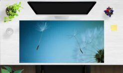 Schreibtischunterlage "Pusteblume Mit Blauem Himmel" (L)100 X (B)50