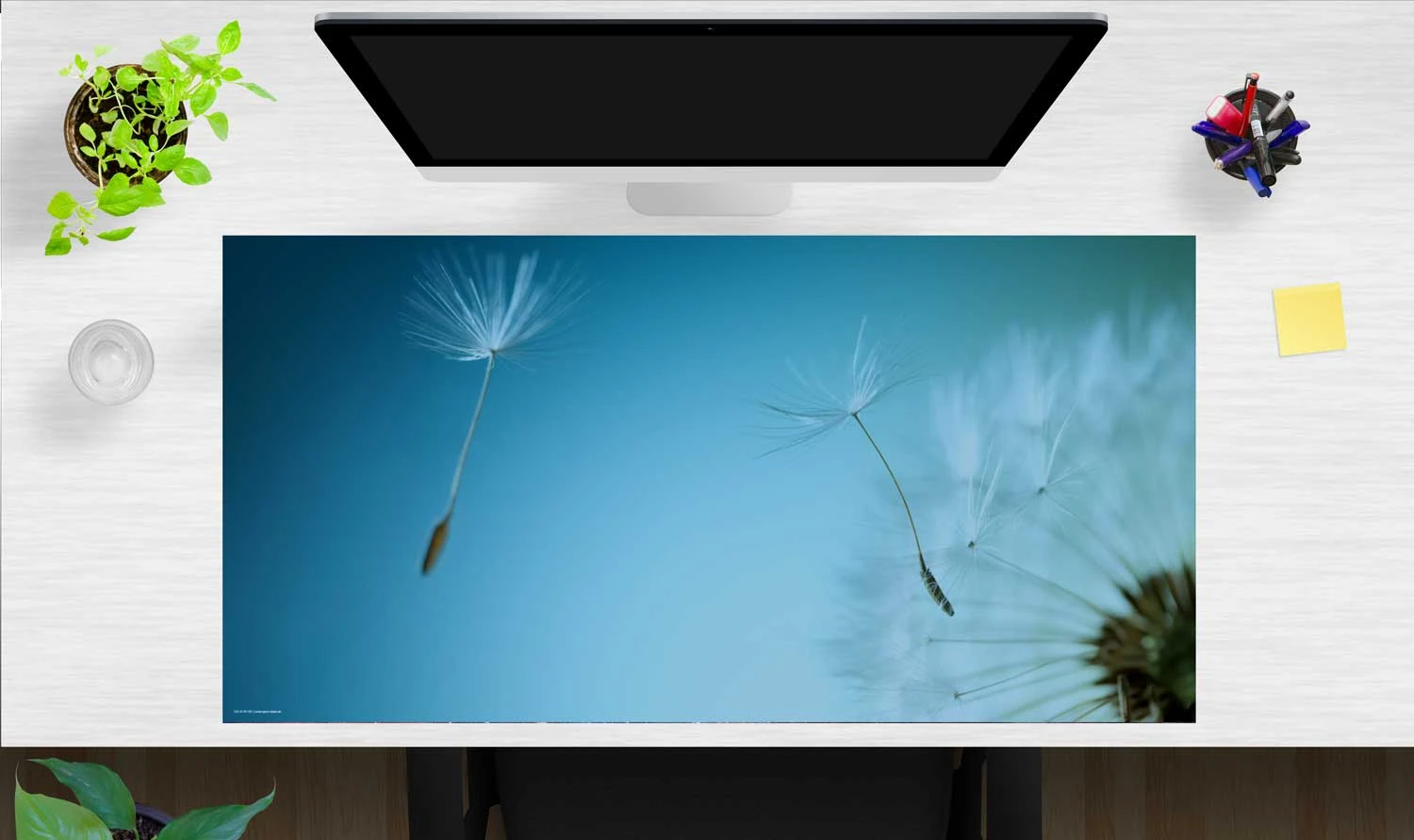 Schreibtischunterlage "Pusteblume Mit Blauem Himmel" (L)100 X (B)50 1 Schreibtischunterlage "Pusteblume Mit Blauem Himmel" (L)100 X (B)50