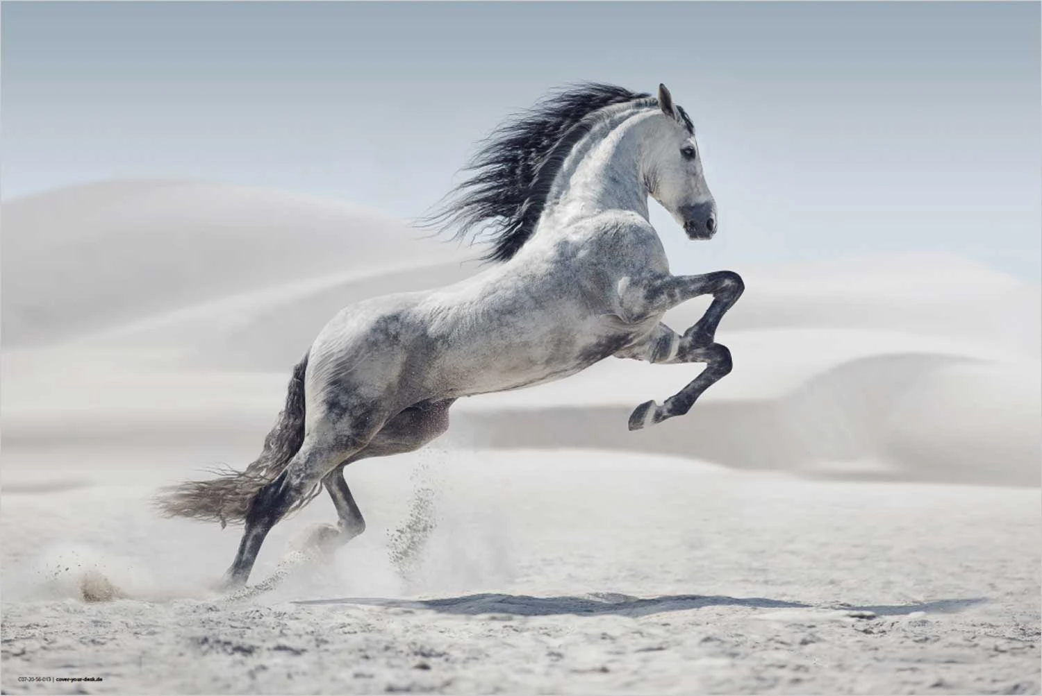 Schreibtischunterlage "Weißes Pferd" In Weiß (L)60 X (B)40 2 Schreibtischunterlage "Weißes Pferd" In Weiß (L)60 X (B)40 – Bild 2