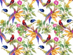 Tischsets I Platzsets "Tropische Zweige Mit Bunten Vögeln" (L)30 X (B)40